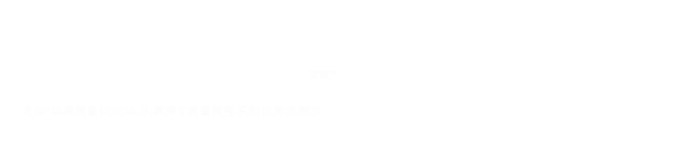 翻译公司顶图